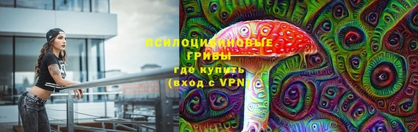 герыч Алзамай