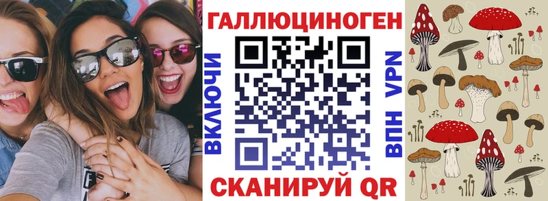наркотики  Мыски  Галлюциногенные грибы Psilocybe 