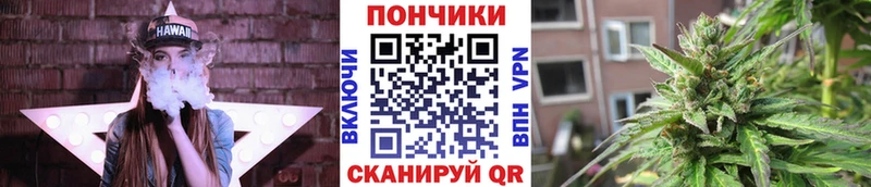 цены Мыски Канабис семена